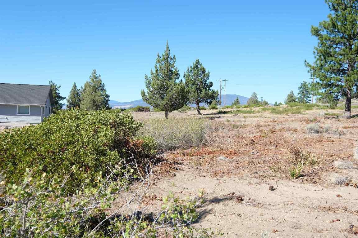 Lot 83-unit 7-2 Black Bear Road Weed, CA 96094 - Photo 4 of 21 Gallery Image 4