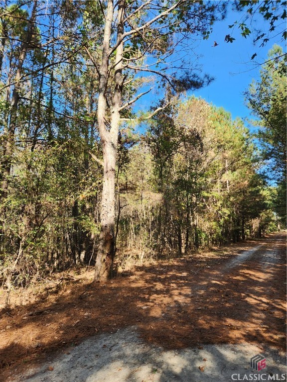 0 Owensby Mill Road Winterville, GA 30683 - Photo 2 of 2 Perpetual easement road