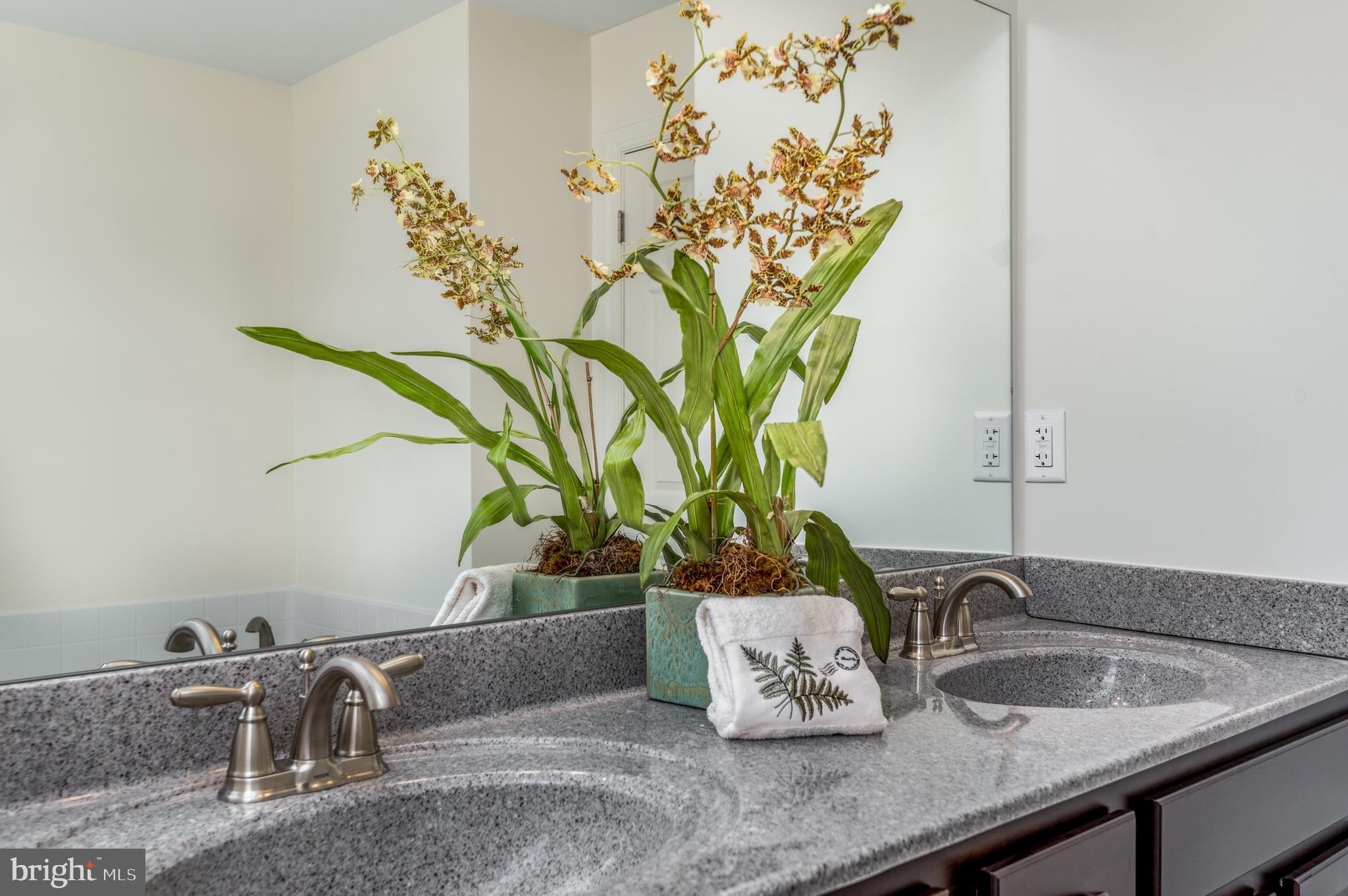 204 Eagle Road Dillsburg, PA 17019 - Photo 19 of 48 Double vanity