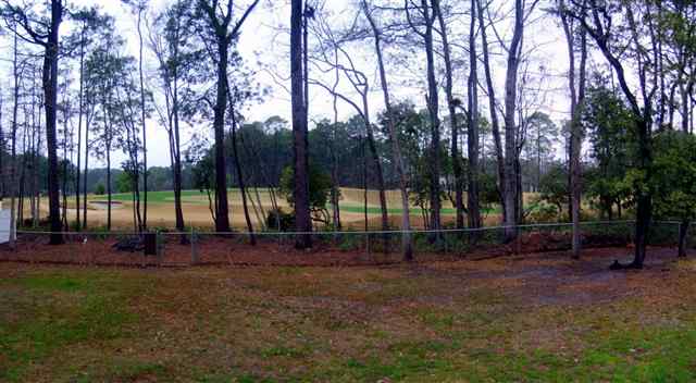 372 Springfield Road Pawleys Island, SC 29585 - Photo 14 of 15 Gallery Image 14