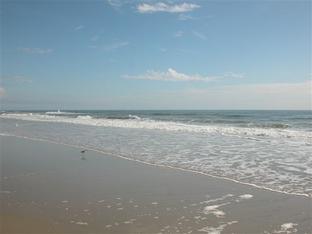 372 Springfield Road Pawleys Island, SC 29585 - Photo 15 of 15 Gallery Image 15