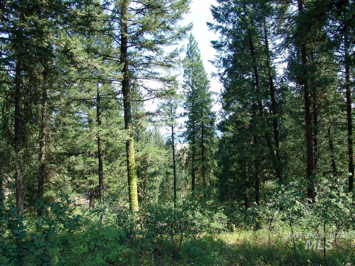 105 Poplar Lane Cascade, ID 83611 - Photo 3 of 16