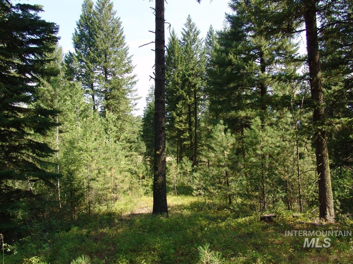 105 Poplar Lane Cascade, ID 83611 - Photo 4 of 16