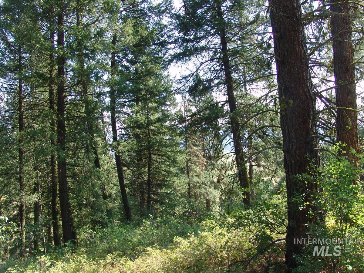 105 Poplar Lane Cascade, ID 83611 - Photo 8 of 16