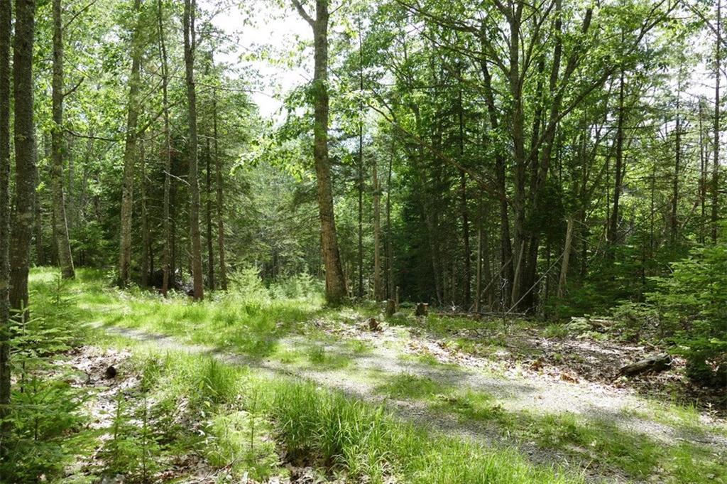 0 Oak Grove Road Mount Desert, ME 04660 - Photo 8 of 10 Photo
