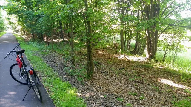 $378,900 | Tbd Old Chester & Duck Farm Road, Goshen, NY 10924