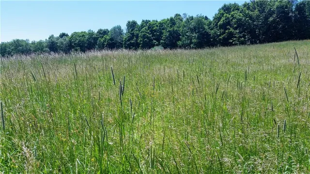 $378,900 | Tbd Old Chester & Duck Farm Road, Goshen, NY 10924