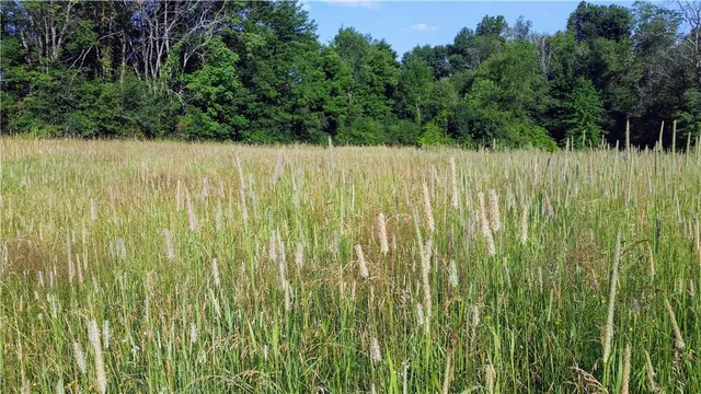 $378,900 | Tbd Old Chester & Duck Farm Road, Goshen, NY 10924