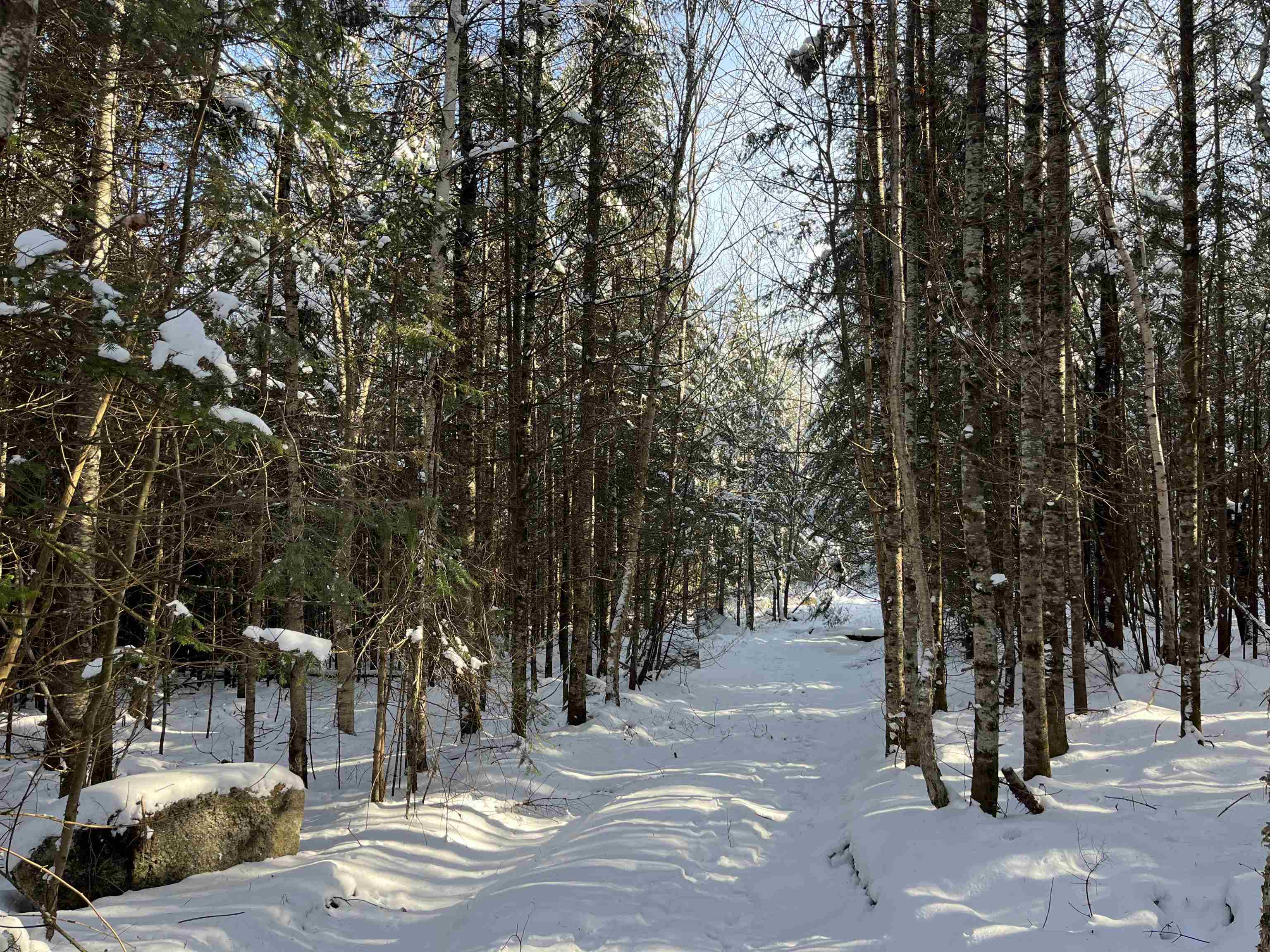 0 Shadow Lake Road Glover, VT 05839 - Photo 19 of 59 Gallery Image 19