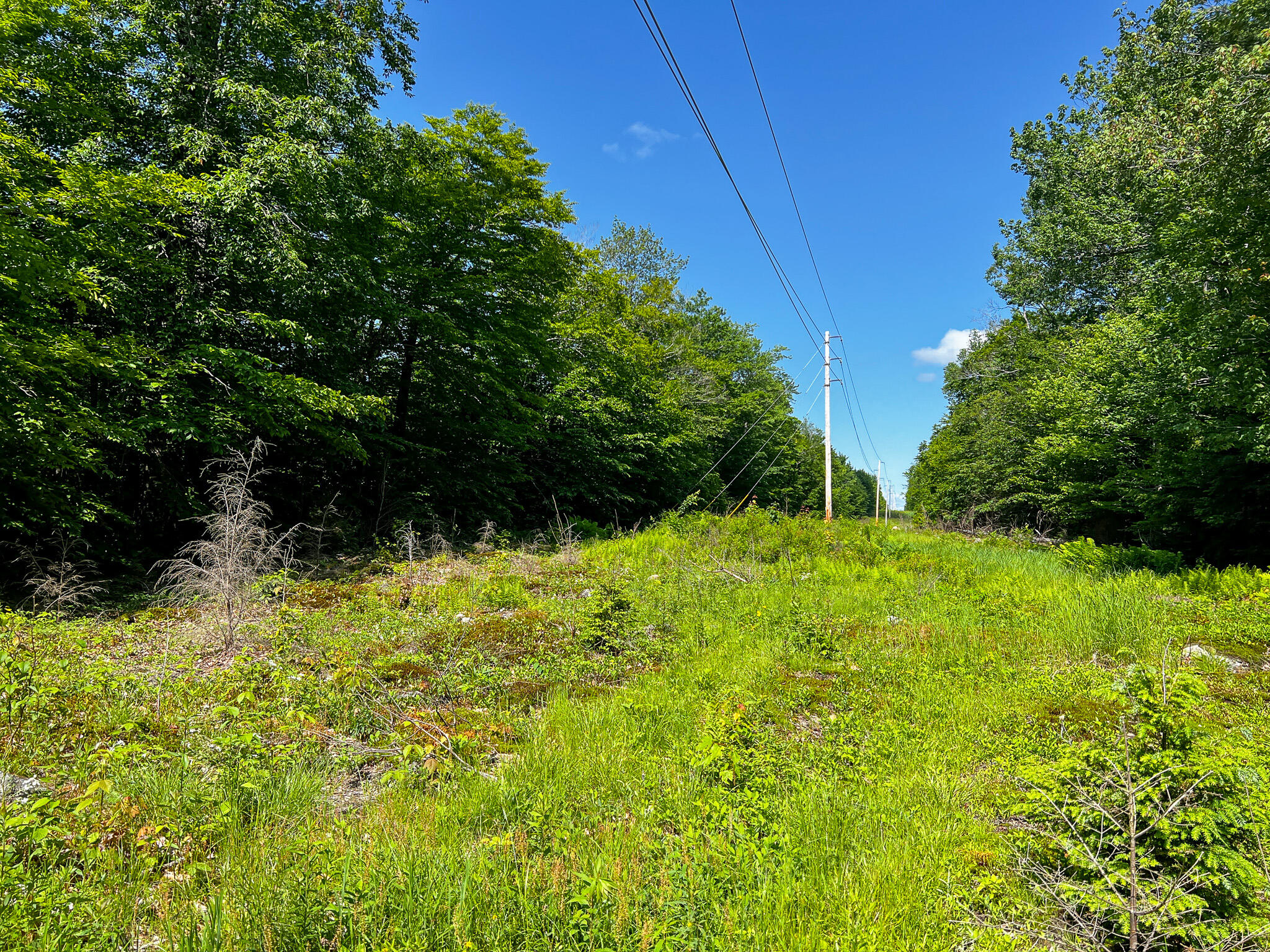 357 Paddy Hill Road Medford, ME 04463 - Photo 23 of 44 IMG_7923