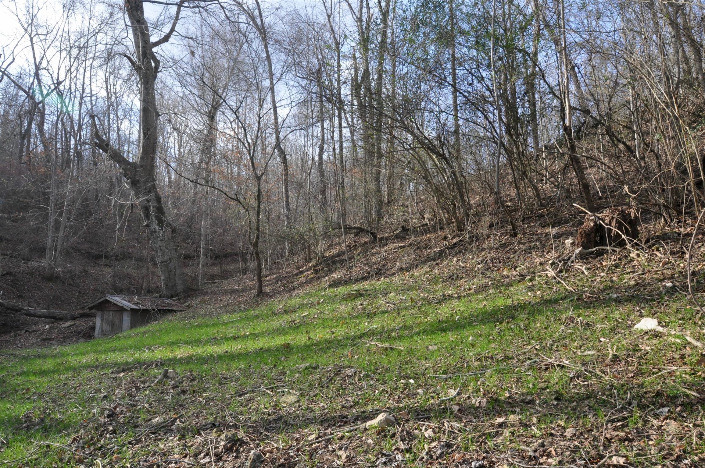 1049 Williams Hollow Road Pulaski, TN 38478 - Photo 17 of 27 Back Yard
