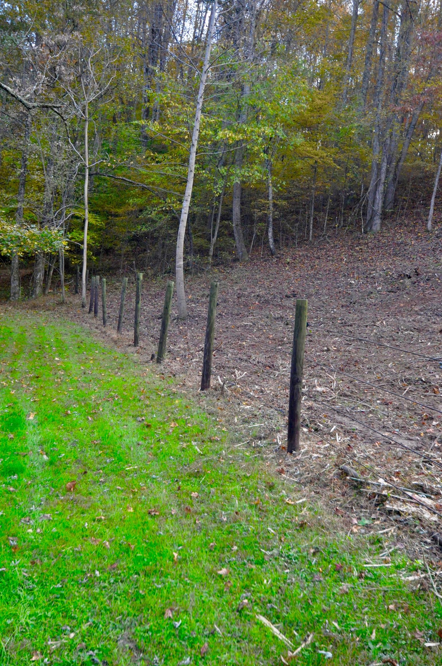 1049 Williams Hollow Road Pulaski, TN 38478 - Photo 19 of 27 Plastic Coated wire fencing (Centaur Brand)