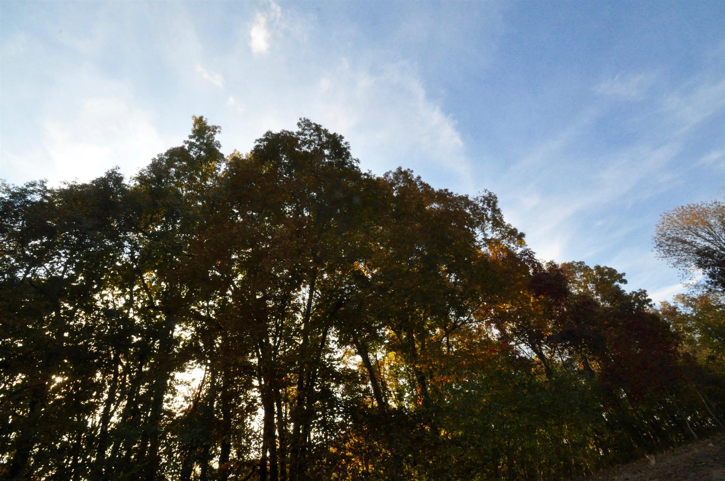 1049 Williams Hollow Road Pulaski, TN 38478 - Photo 21 of 27 Gorgeous Sunsets