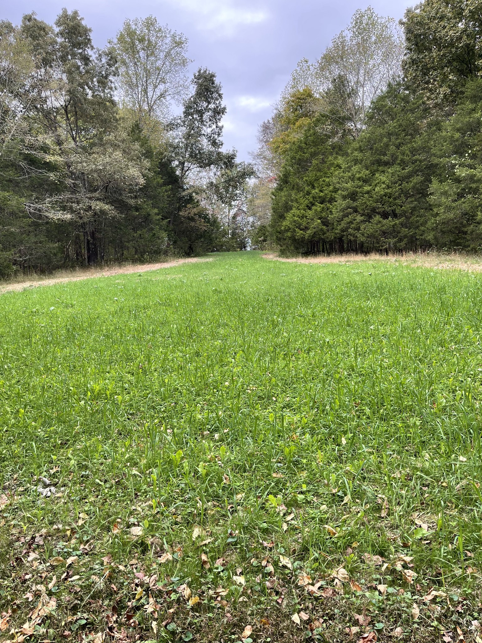 2331 Pleasant Grove Road Westmoreland, TN 37186 - Photo 12 of 33