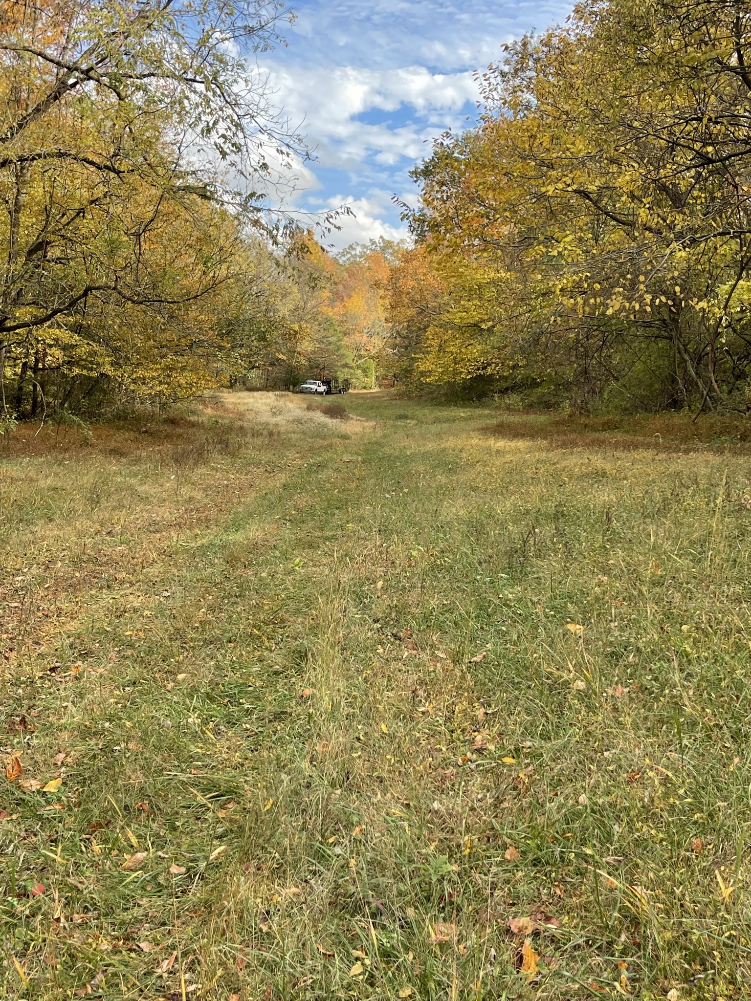 2331 Pleasant Grove Road Westmoreland, TN 37186 - Photo 13 of 33