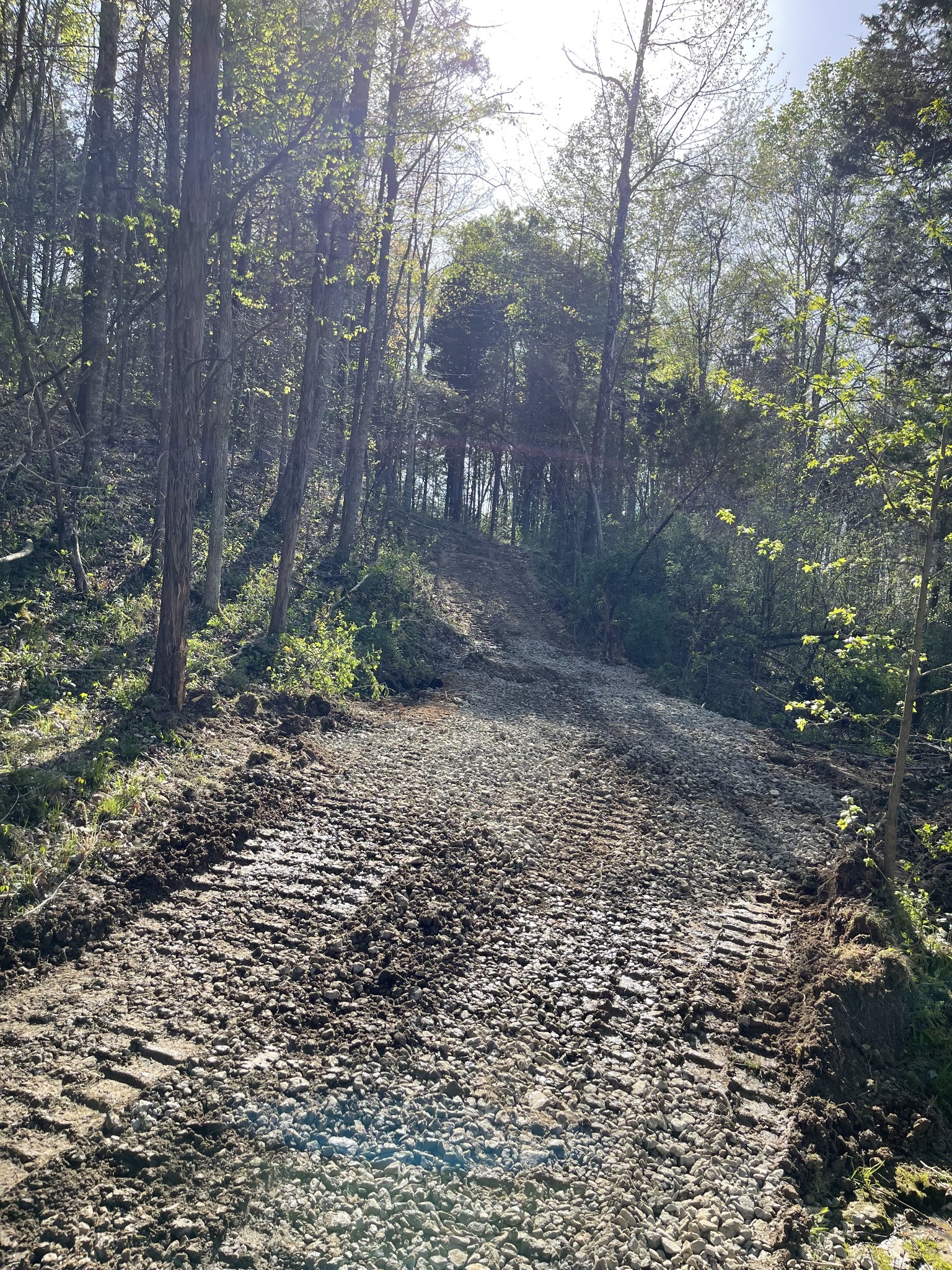 2331 Pleasant Grove Road Westmoreland, TN 37186 - Photo 15 of 33