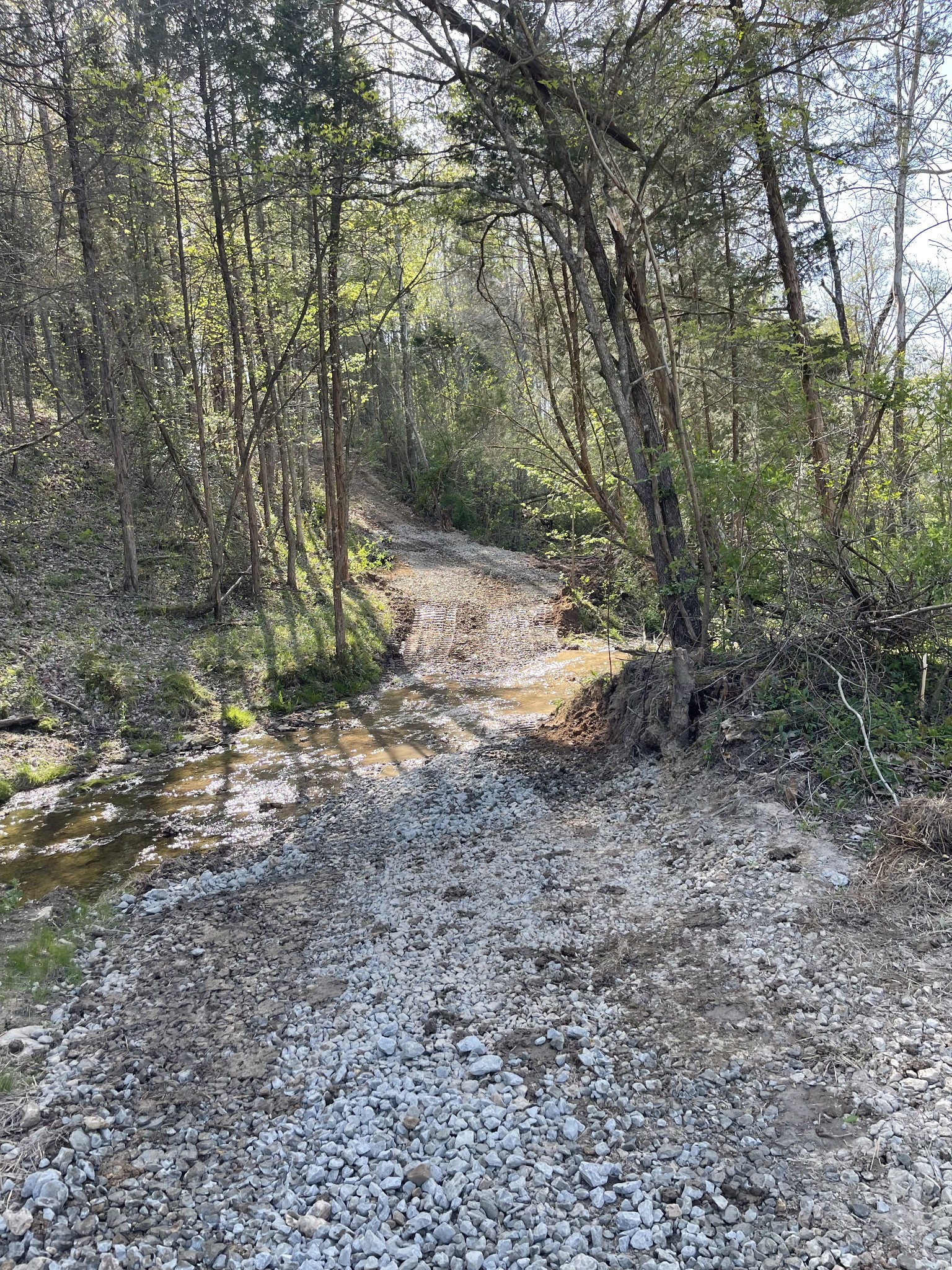 2331 Pleasant Grove Road Westmoreland, TN 37186 - Photo 16 of 33