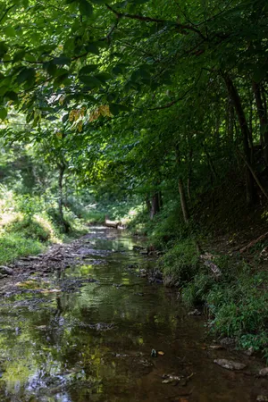 $999,999 | 2331 Pleasant Grove Road, Westmoreland, TN 37186