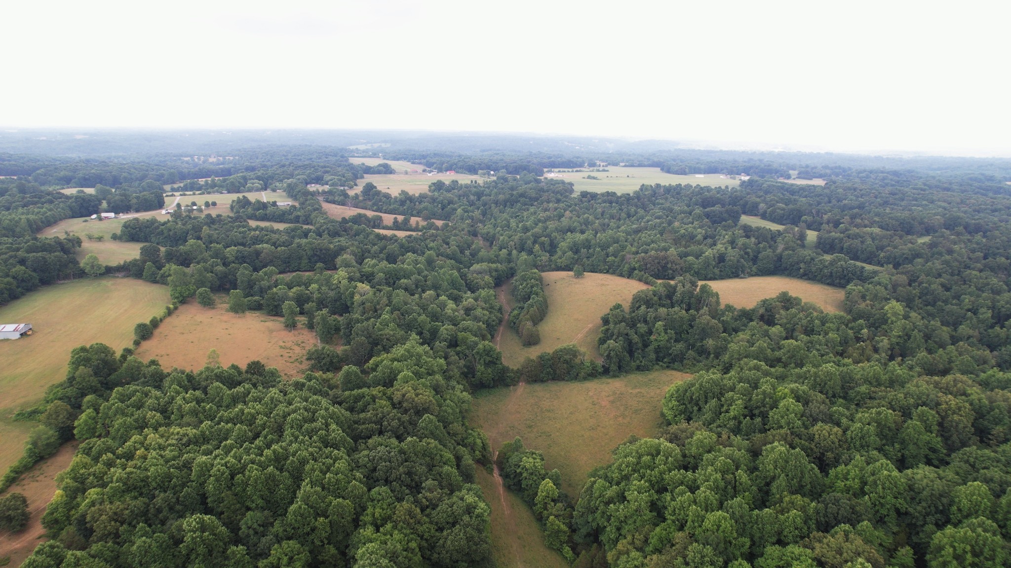 2331 Pleasant Grove Road Westmoreland, TN 37186 - Photo 20 of 33