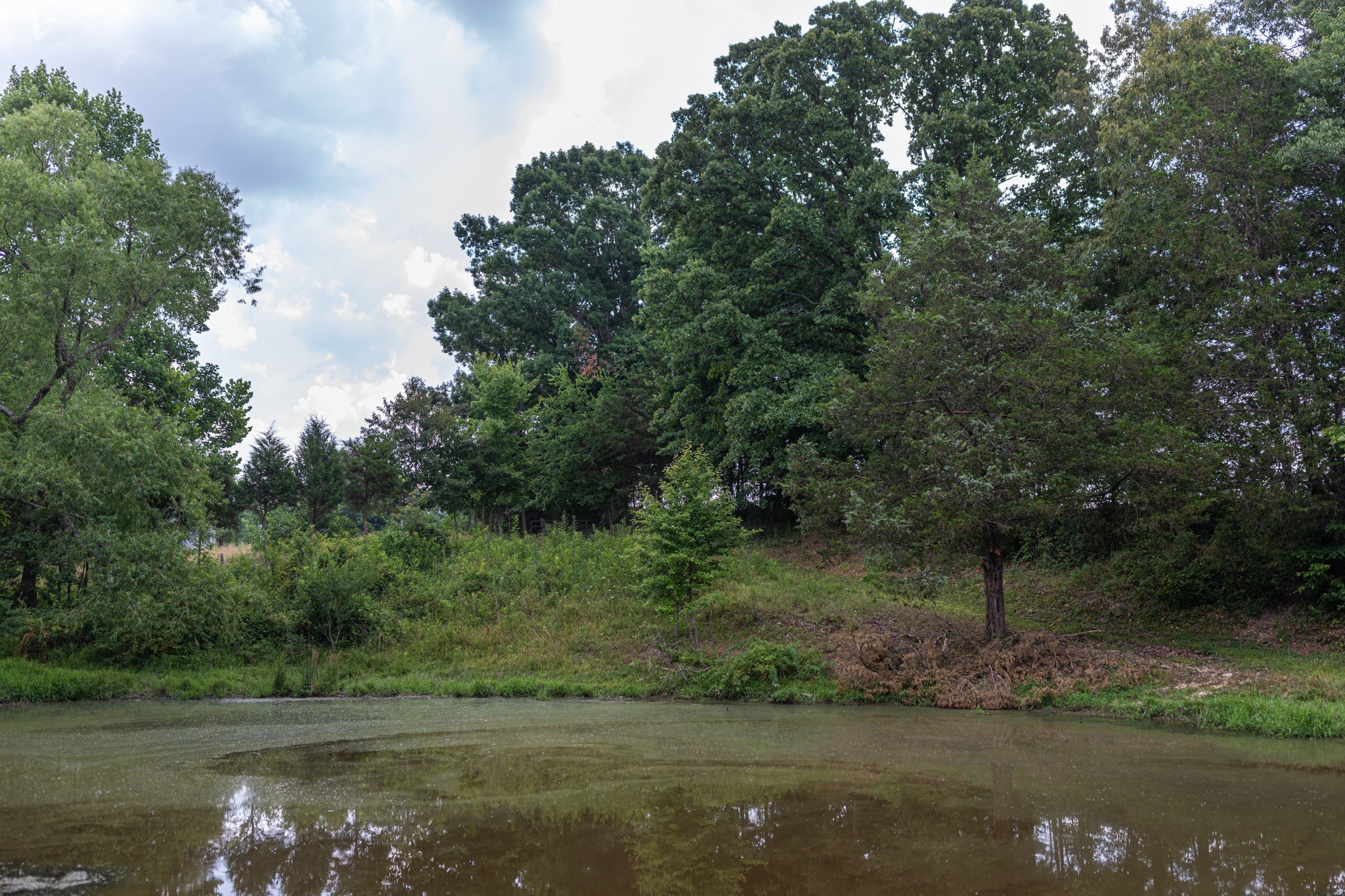 2331 Pleasant Grove Road Westmoreland, TN 37186 - Photo 2 of 33