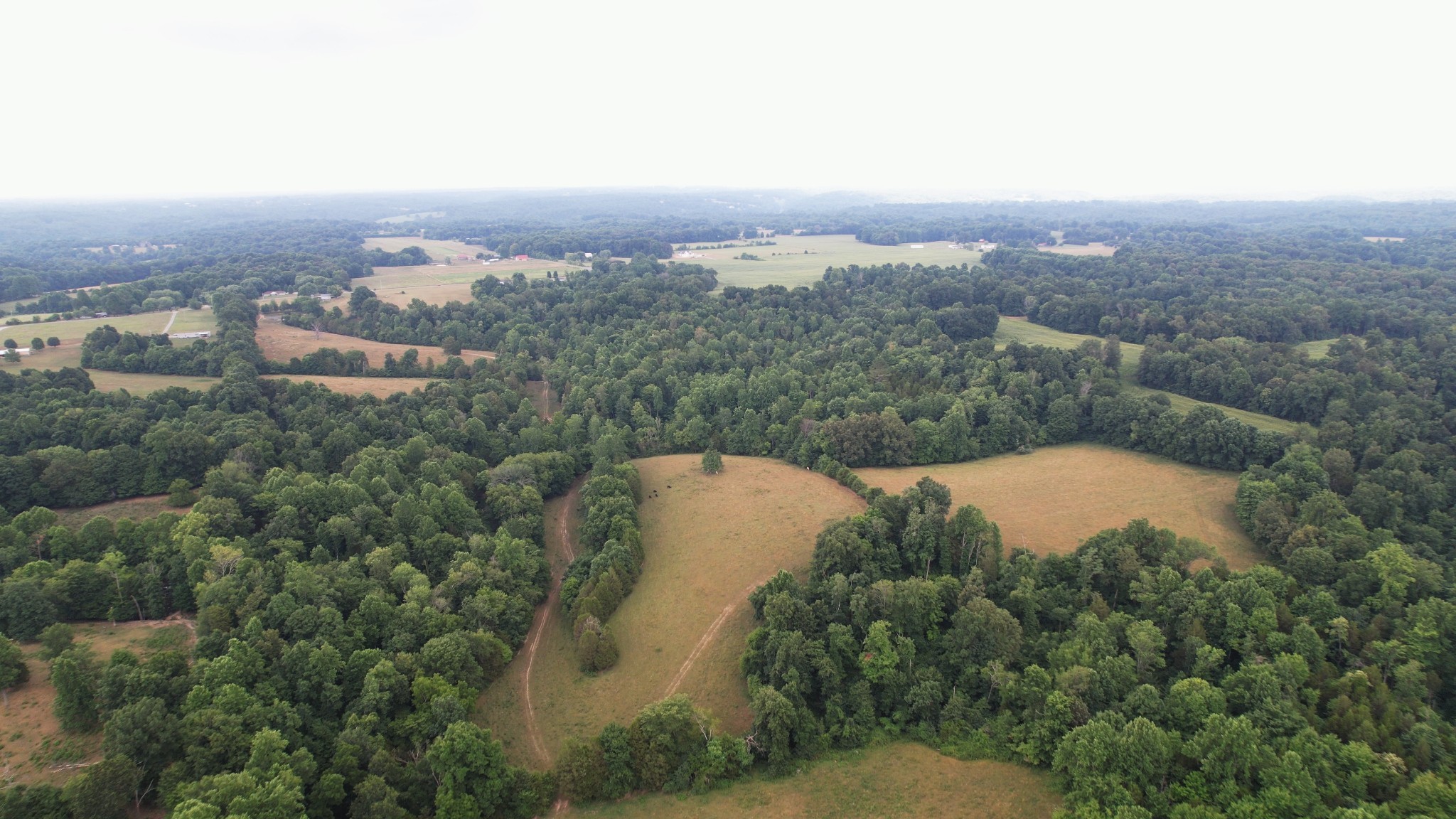 2331 Pleasant Grove Road Westmoreland, TN 37186 - Photo 21 of 33