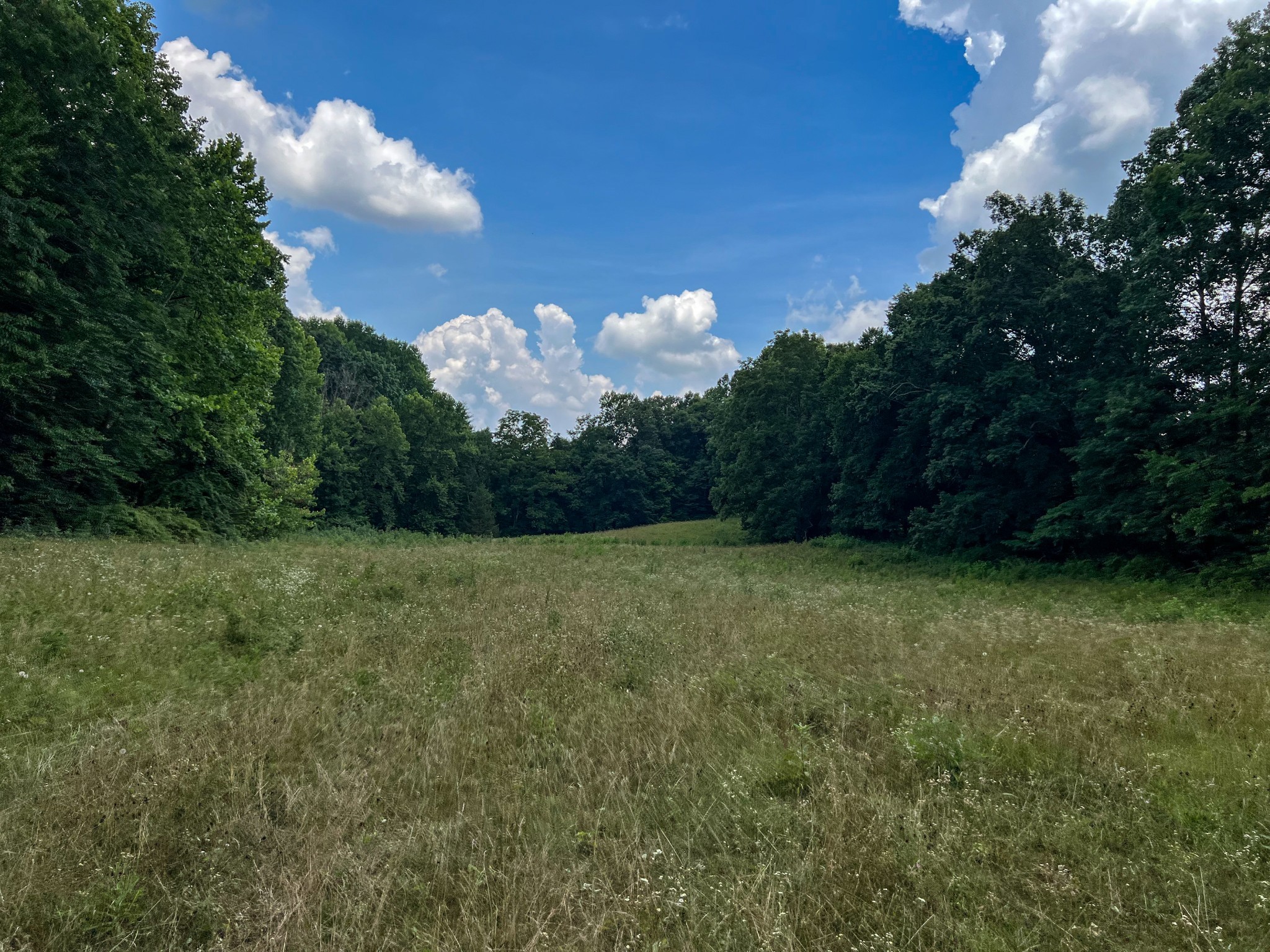 2331 Pleasant Grove Road Westmoreland, TN 37186 - Photo 24 of 33