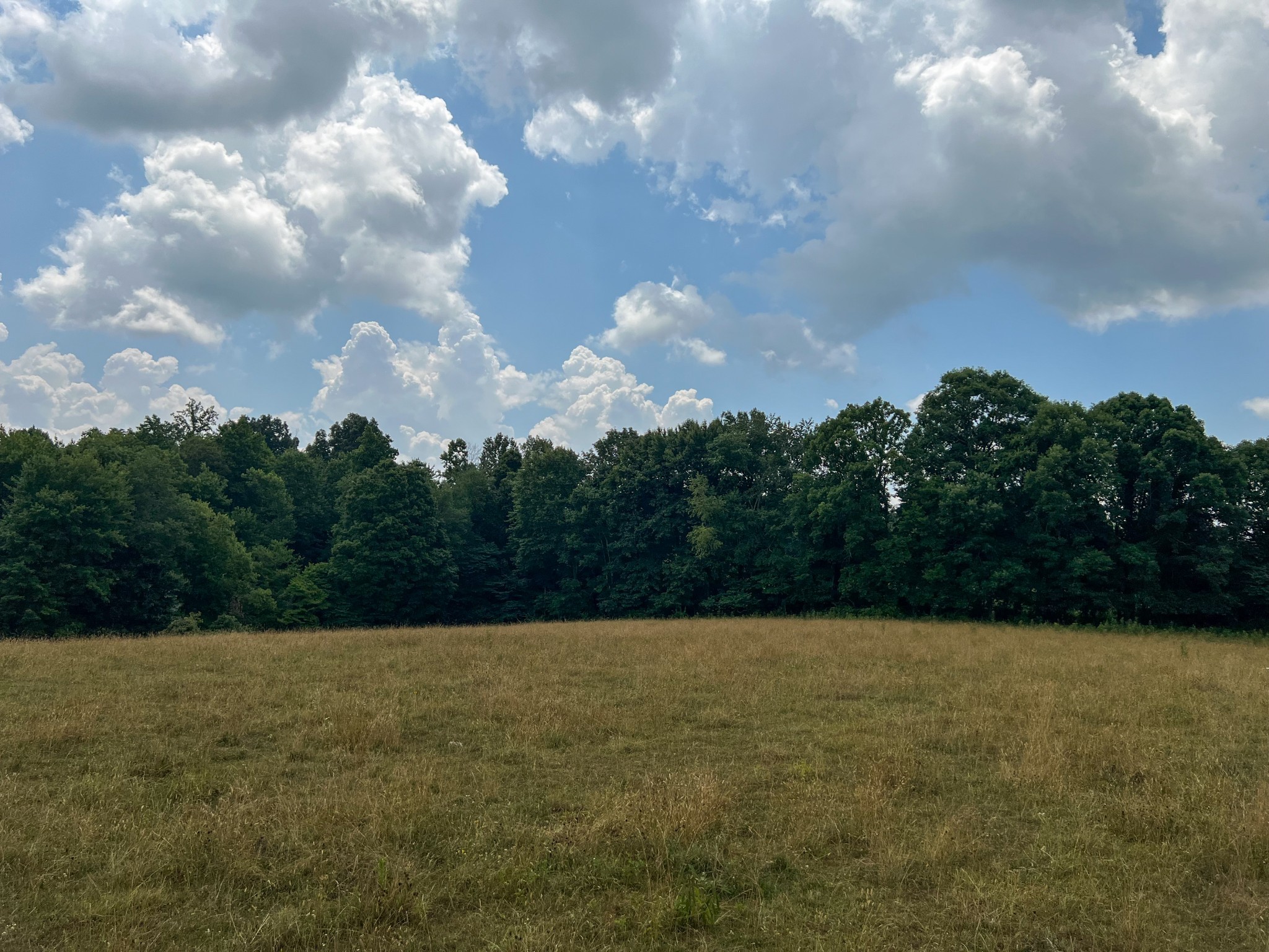 2331 Pleasant Grove Road Westmoreland, TN 37186 - Photo 25 of 33