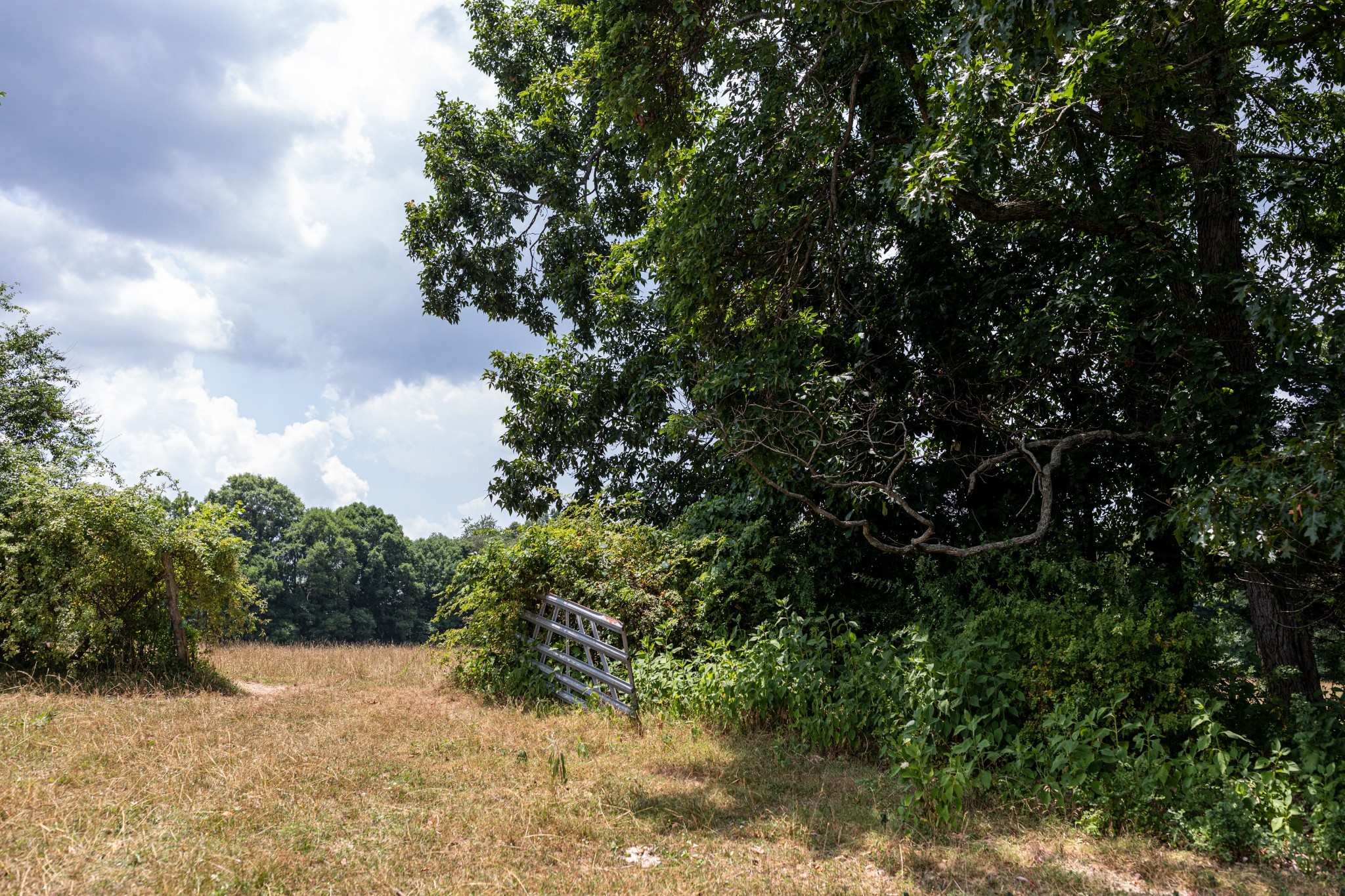 2331 Pleasant Grove Road Westmoreland, TN 37186 - Photo 26 of 33