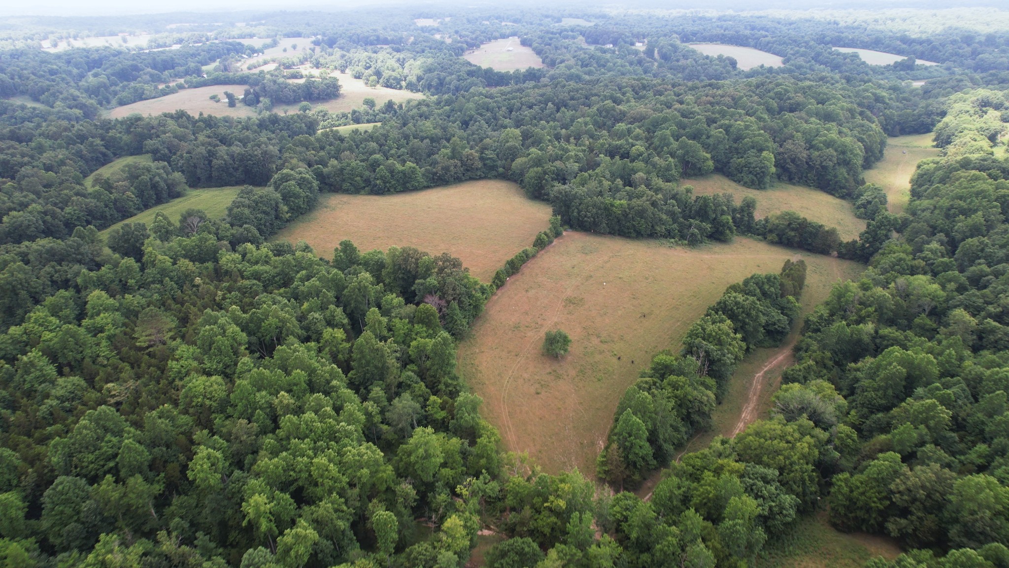 2331 Pleasant Grove Road Westmoreland, TN 37186 - Photo 28 of 33