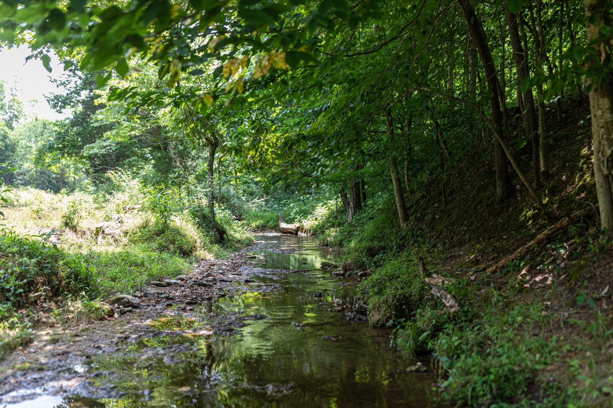 2331 Pleasant Grove Road Westmoreland, TN 37186 - Photo 29 of 33