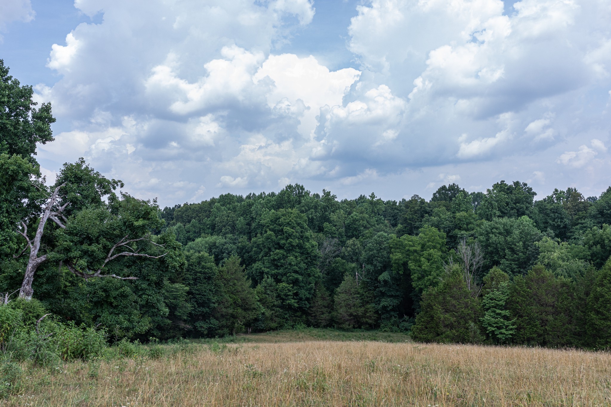 2331 Pleasant Grove Road Westmoreland, TN 37186 - Photo 30 of 33