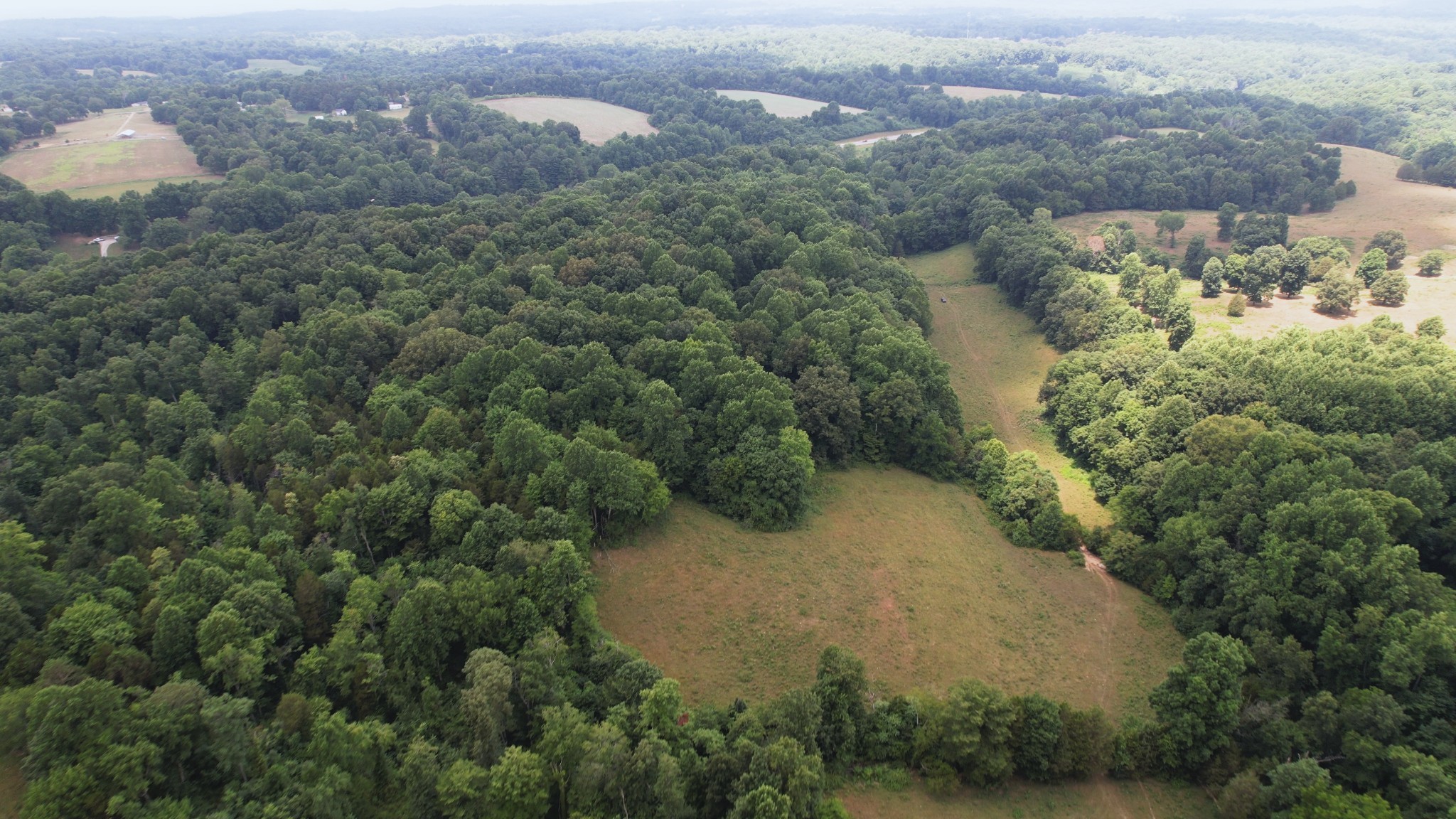 2331 Pleasant Grove Road Westmoreland, TN 37186 - Photo 3 of 33