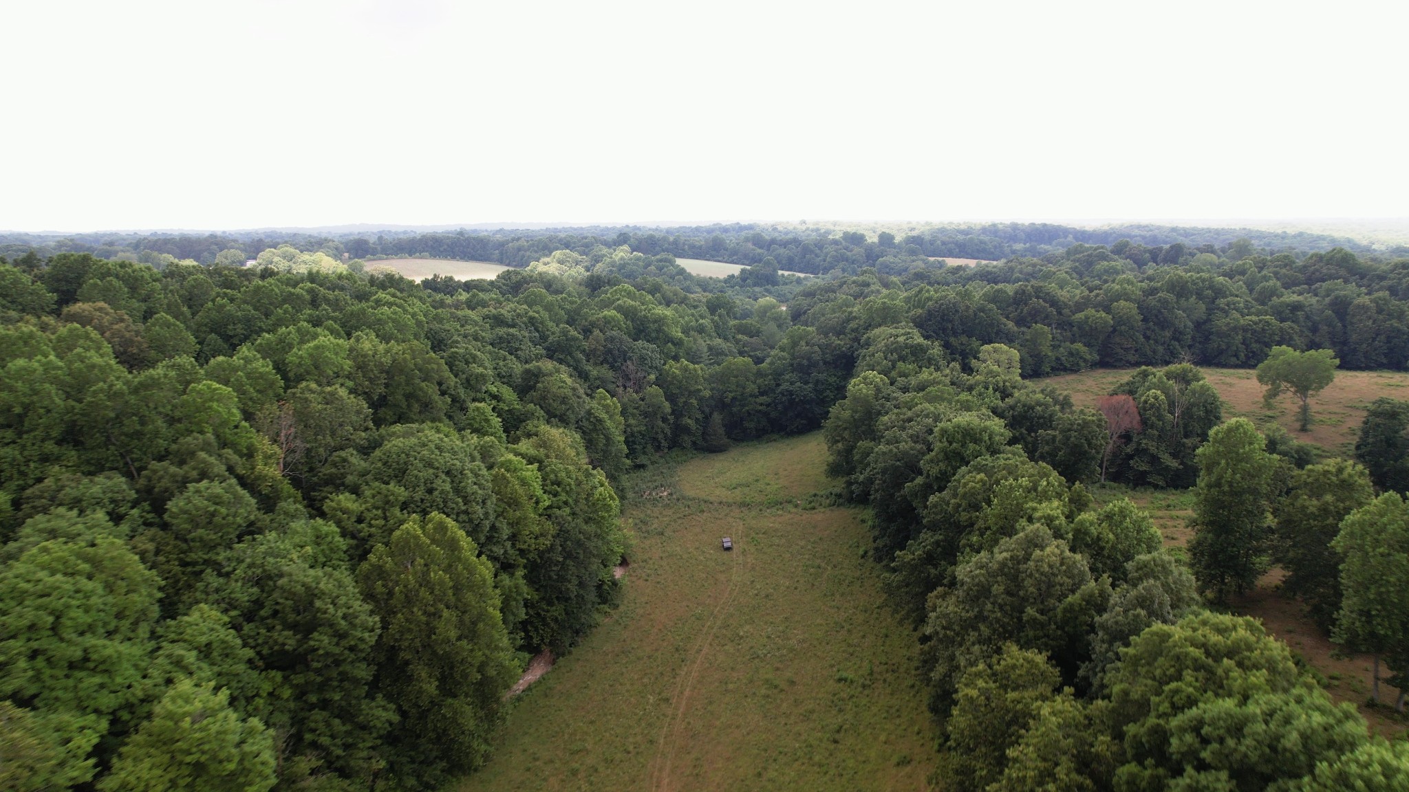 2331 Pleasant Grove Road Westmoreland, TN 37186 - Photo 32 of 33