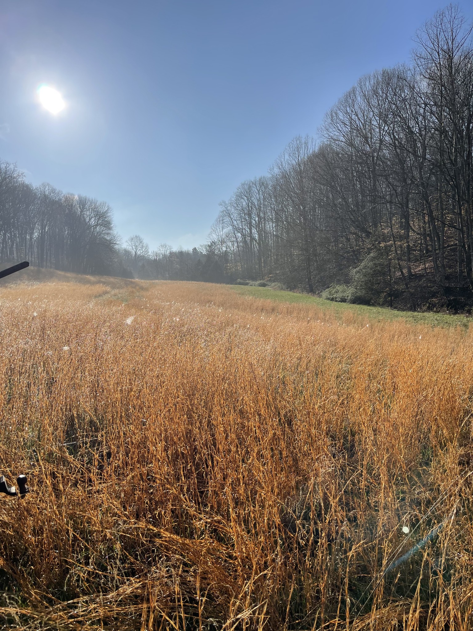 2331 Pleasant Grove Road Westmoreland, TN 37186 - Photo 6 of 33