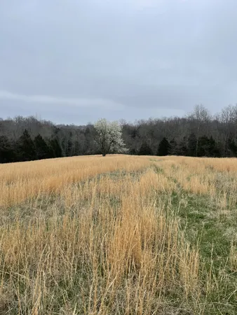 $999,999 | 2331 Pleasant Grove Road, Westmoreland, TN 37186