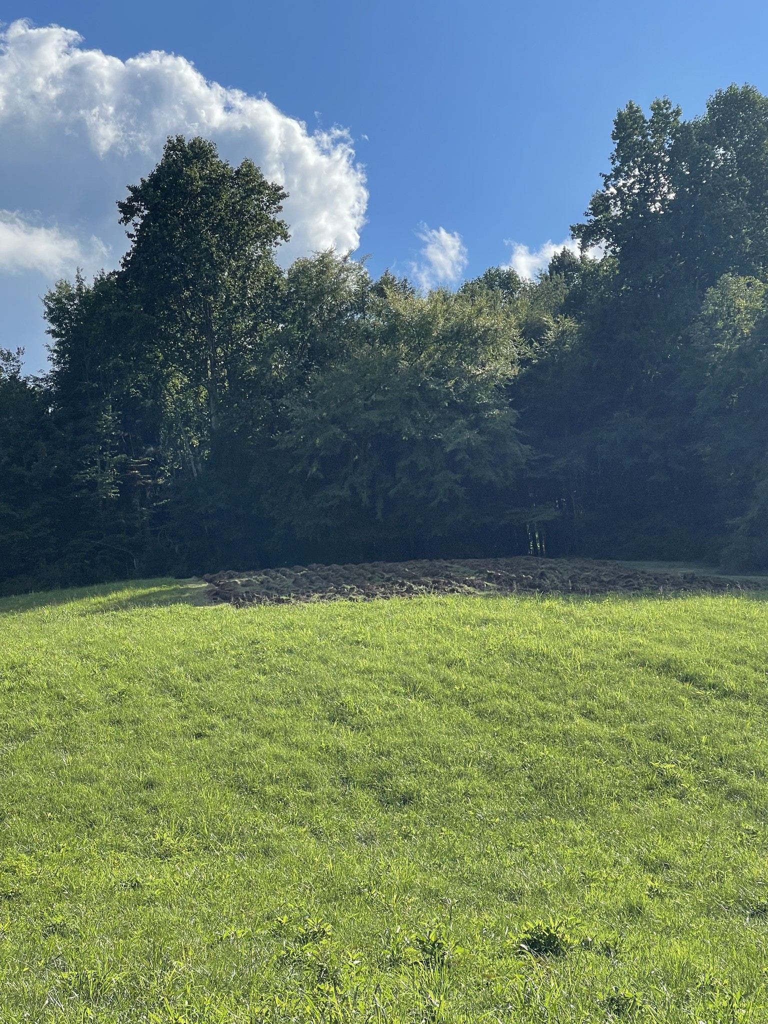 2331 Pleasant Grove Road Westmoreland, TN 37186 - Photo 10 of 33