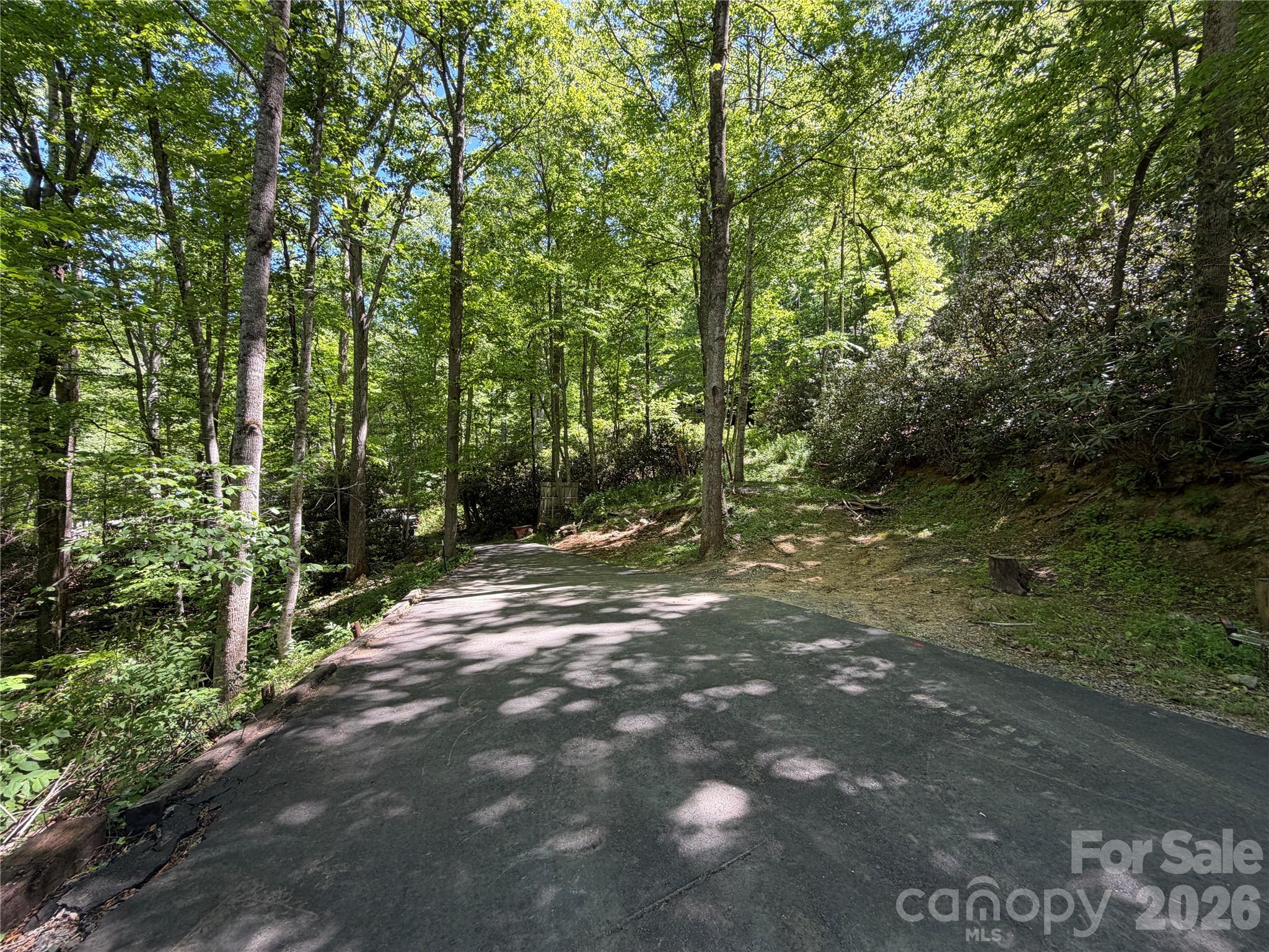 25 Buck Ridge Road Fairview, NC 28730 - Photo 14 of 27 Gallery Image 14