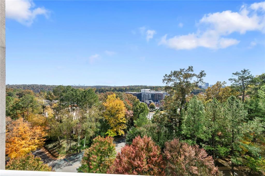 3300 Windy Ridge Parkway Southeast, Unit 804 Atlanta, GA 30339 - Photo 29 of 57