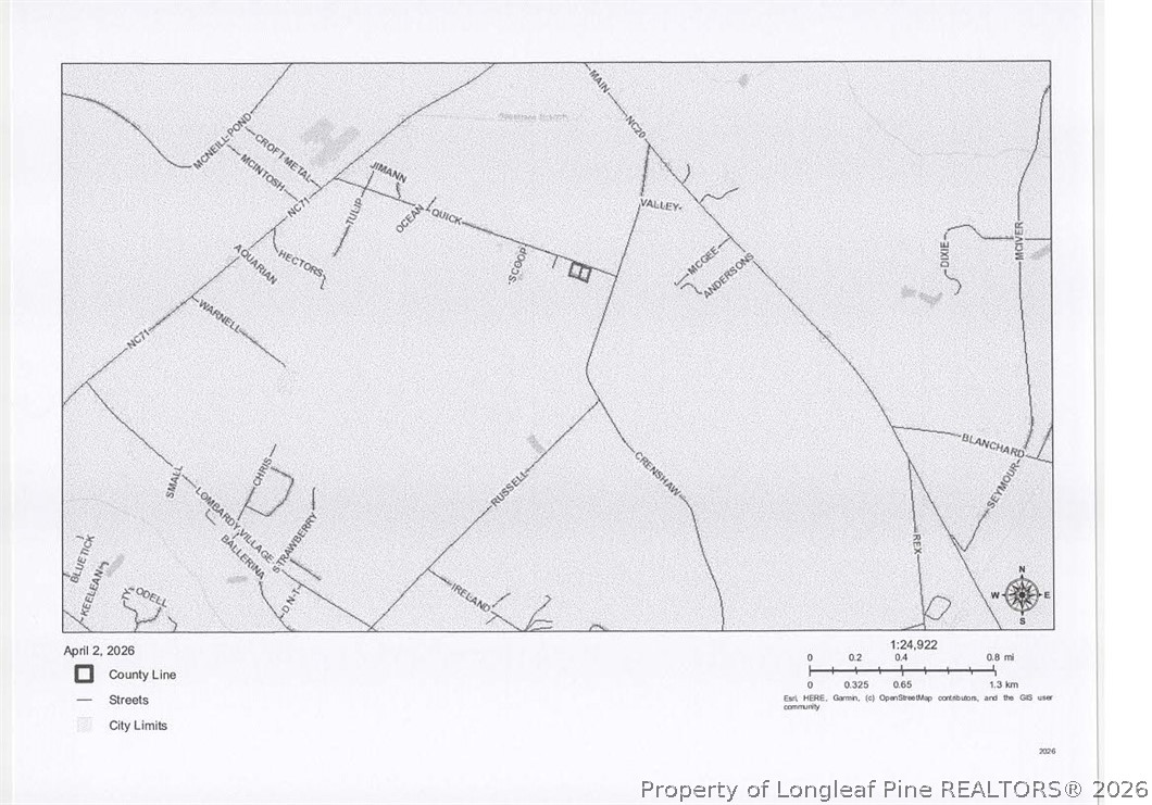 Quick Road Lumber Bridge, NC 28357 - Photo 1 of 1 a black and white photo of a painting
