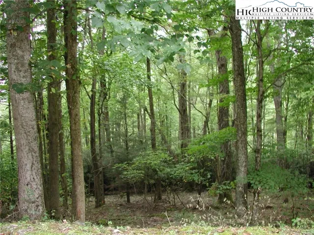 $15,000 | Lot 27 Lost Ridge Trail, Vilas, NC 28692