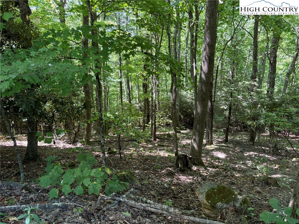 Lot 27 Lost Ridge Trail Vilas, NC 28692 - Photo 7 of 13