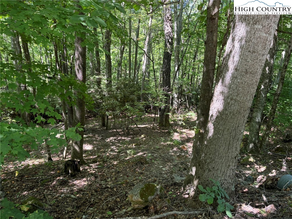 Lot 27 Lost Ridge Trail Vilas, NC 28692 - Photo 8 of 13