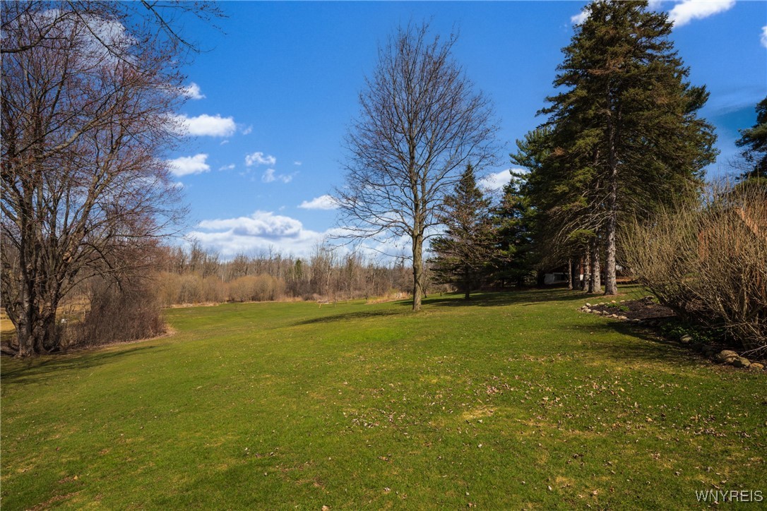 7094 Bear Ridge Road Pendleton, NY 14120 - Photo 8 of 38