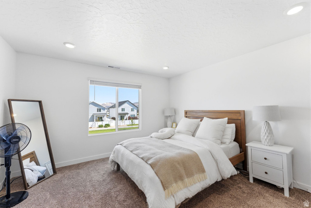 3715 Cold Spring Drive Lehi, UT 84048 - Photo 13 of 25