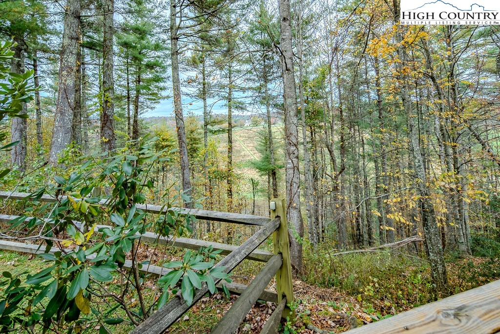 135 Mountain Ivy Lane Boone, NC 28607 - Photo 2 of 29 a view of balcony with yard