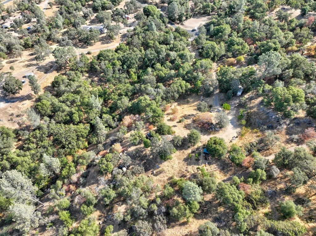 3279 Quail Run Road Mariposa, CA 95338 - Photo 35 of 37
