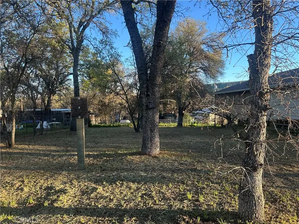 a view of a yard with trees