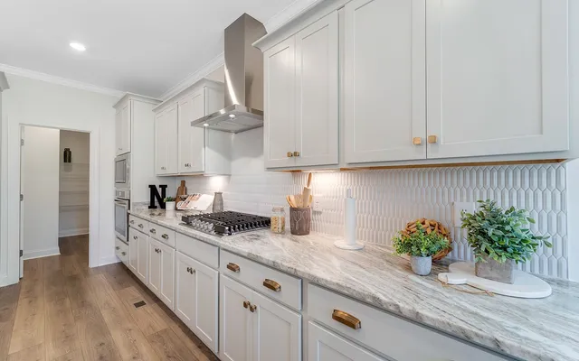 a kitchen with stainless steel appliances white cabinets and a potted plant