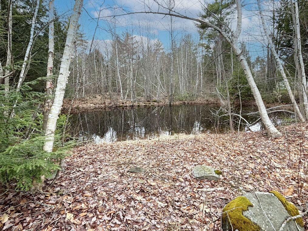 26 Fire Rd DC-1 Mount Vernon, ME 04352 - Photo 32 of 41 22. Pond Across the Street