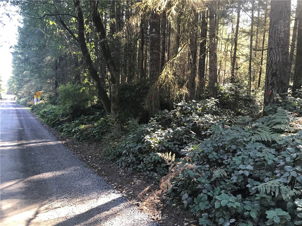 8 Webb Road Southwest Lakebay, WA 98349 - Photo 5 of 8